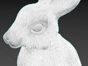 hare rabbit 3D मॉडल