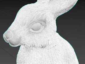 hare rabbit 3D Model