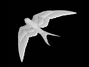 sparrow 3D 打印模型