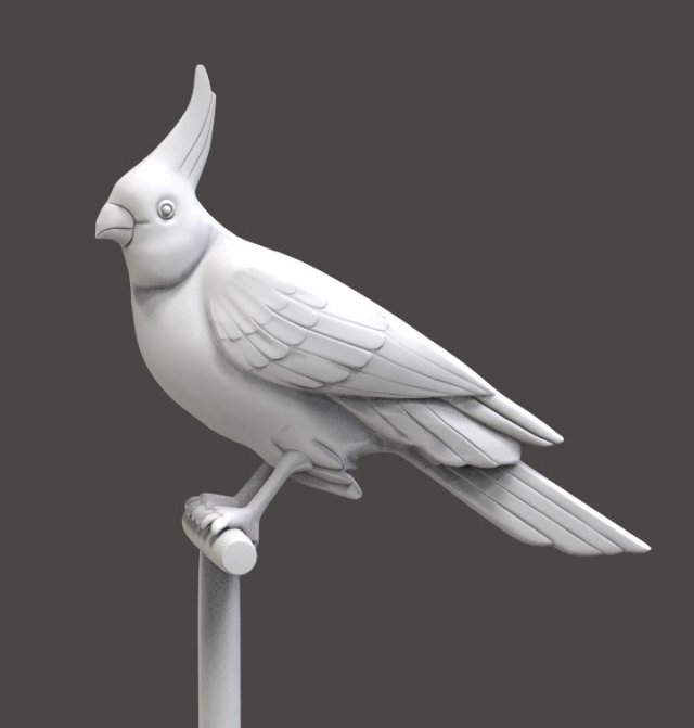 parrot 3D 模型 .c4d .max .obj .3ds .fbx .stl .blend