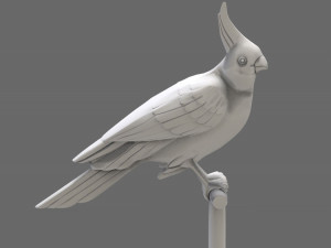 parrot 3D 模型