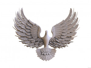 bird 3D Model