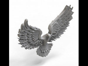 bird 3D Модель