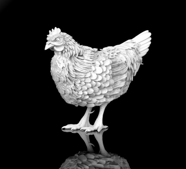 hen 3D Модель .c4d .max .obj .3ds .fbx .stl .blend 