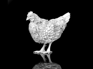 hen 3D 모델