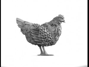 hen 3D Модель