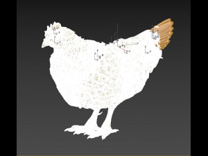 hen 3D Модель