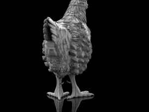 hen 3D Модель