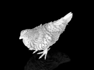 hen 3D Модель