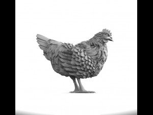hen 3D Модель