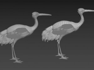 stork 3D Model