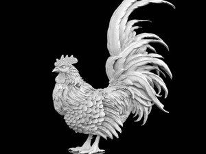 cock 3D-Modell