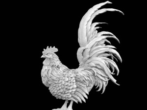 cock Modello 3D
