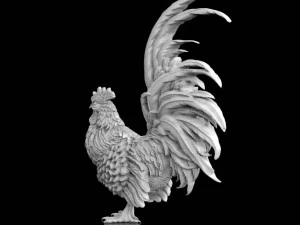 coq Modèle 3D