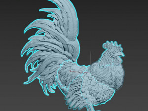cock Modello 3D