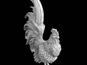 cock Modello 3D