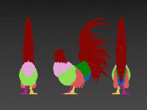 coq Modèle 3D