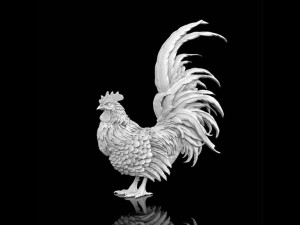cock Modello 3D