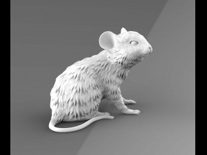 mouse Modelo 3D