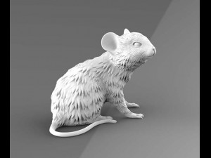 mouse 3D Модель