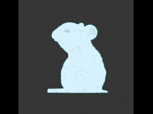 mouse 3D Model