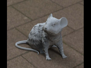 mouse 3D Модель