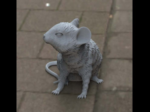 mouse 3D Модель