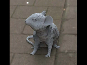 mouse 3D Model