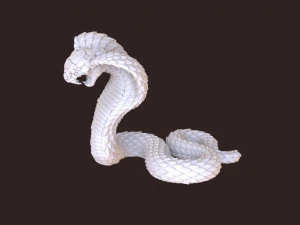 cobra 3D Print Model