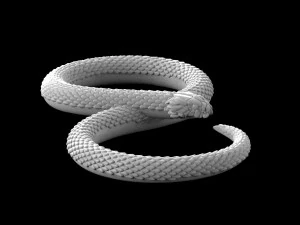뱀 3D 프린트 모델