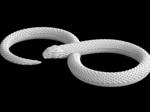 snake 3D Print Model