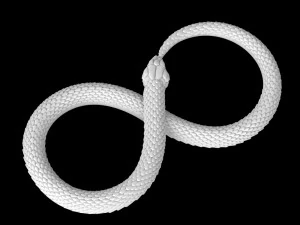 snake 3D Print Model