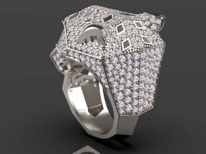Ring Modèles 3D en vedette
