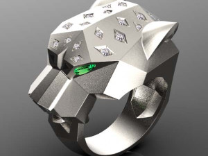 Ring 3D Print Model