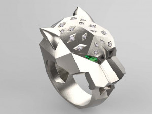 Ring 3D Print Model