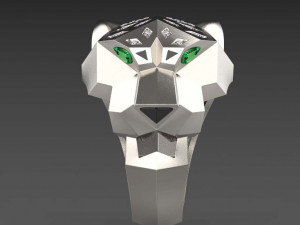 Ring 3D Print Model