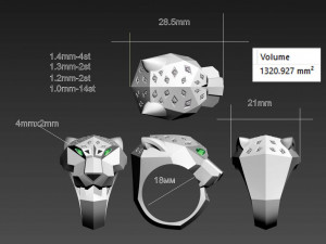Ring 3D Print Model