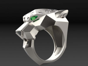 Ring 3D Print Model