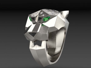 Ring 3D Print Model