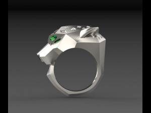 Ring 3D Print Model