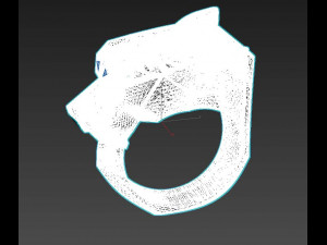 Ring 3D Print Model