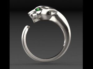 Rings 3Dプリントモデル