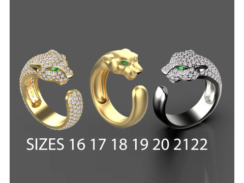 Rings 3D-Druckmodell