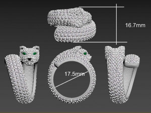 Rings Model Cetak 3D