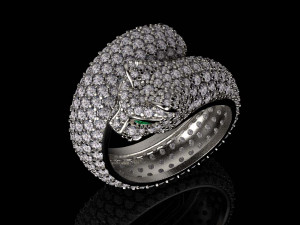 Rings Model Cetak 3D