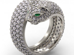 Rings Model Cetak 3D