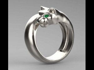 Rings Model Cetak 3D