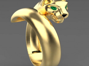 Rings Model Cetak 3D