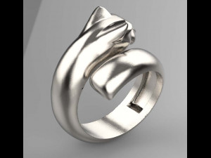 Rings Model Cetak 3D