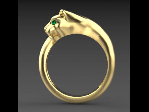 Rings Model Cetak 3D